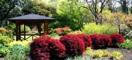 Dunedin Botantic Garden