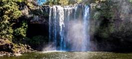 Rainbow Falls, Kerikeri