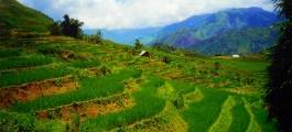 Fansipan Mountain
