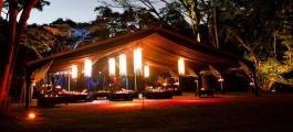 Flames of the Forest - Rainforest Dining Experience