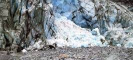 Fox Glacier Terminal Face Walk