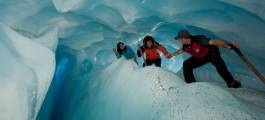 Heli Hiking Fox Glacier