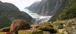 Franz Josef Glacier Valley Walk