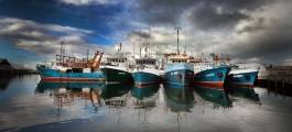 Fremantle Fishing Boat Harbour