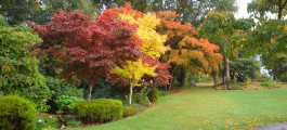 Glenfalloch Woodland Gardens