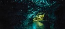 Glow Worm Caves