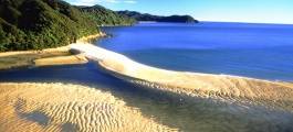 Golden Bay
