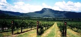 Hunter Valley Winetasting Adventure