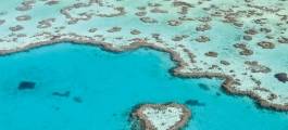 Heart Reef