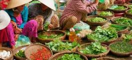 HOI AN CENTRAL MARKET