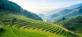 Chiang Mai