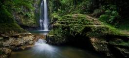 Kaiate Falls, Tauranga