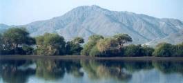 Kalba