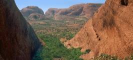 Half Day Kata Tjuta Valley Of the Winds Walk - Y51