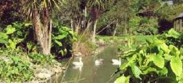 Katikati Bird Gardens, Katikati