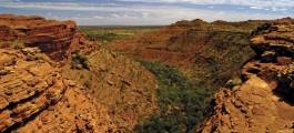 Full Day Kings Canyon Explorer - Y19