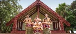 Waitangi Treaty Grounds, Paihia