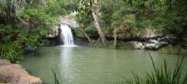 Kondalilla Falls, Maleny