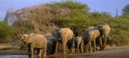Kruger National Park