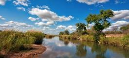 Kruger & The The Escarpment