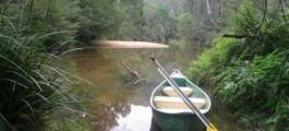 KURRAJONG