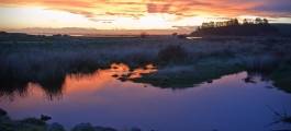 Lake Ellesmere