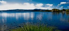 Lake Rotorua