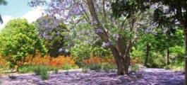 Lake Macdonald Amphitheatre & Noosa Botanic Gardens, Cooroy