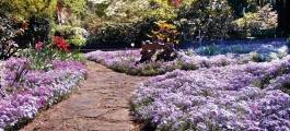 LEURA