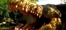 The Malcolm Douglas Wilderness Wildlife Park and Animal Refuge