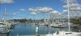 Manly Harbour