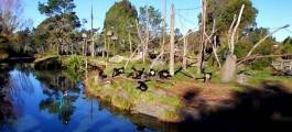 Orana Wildlife Park