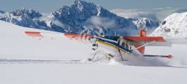 Glacier Highlights Ski Plane Flight