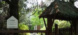 MOUNT WILSON & MOUNT IRVINE
