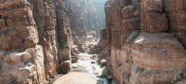 Mujib Nature Reserve