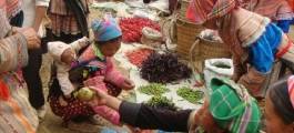 Muong Khuong Market