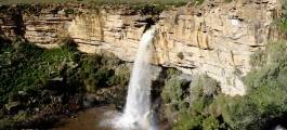The Northern Cape