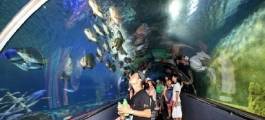 Oceanographic Museum of Vietnam