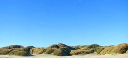Oreti Beach and Sandy Point