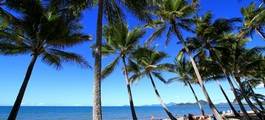 Palm Cove