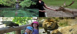Paradise Valley Springs Wildlife Park