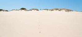 Beaches