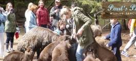 Paul's Place Wildlife Sanctuary