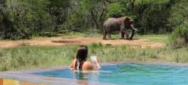 Phinda Private Game Reserve