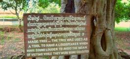 Killing Fields