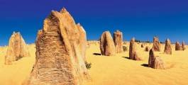 4WD Pinnacles, Koalas and Sandboarding Adventure