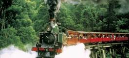 Puffing Billy with Wildlife & Winery Lunch