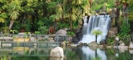 Rainbow Springs Kiwi Wildlife Park