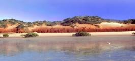 Roebuck Bay