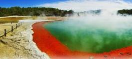 Rotorua Eco Thermal Park Small Group Tour